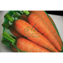 High quality carrot from Vietnam for fresh carrot